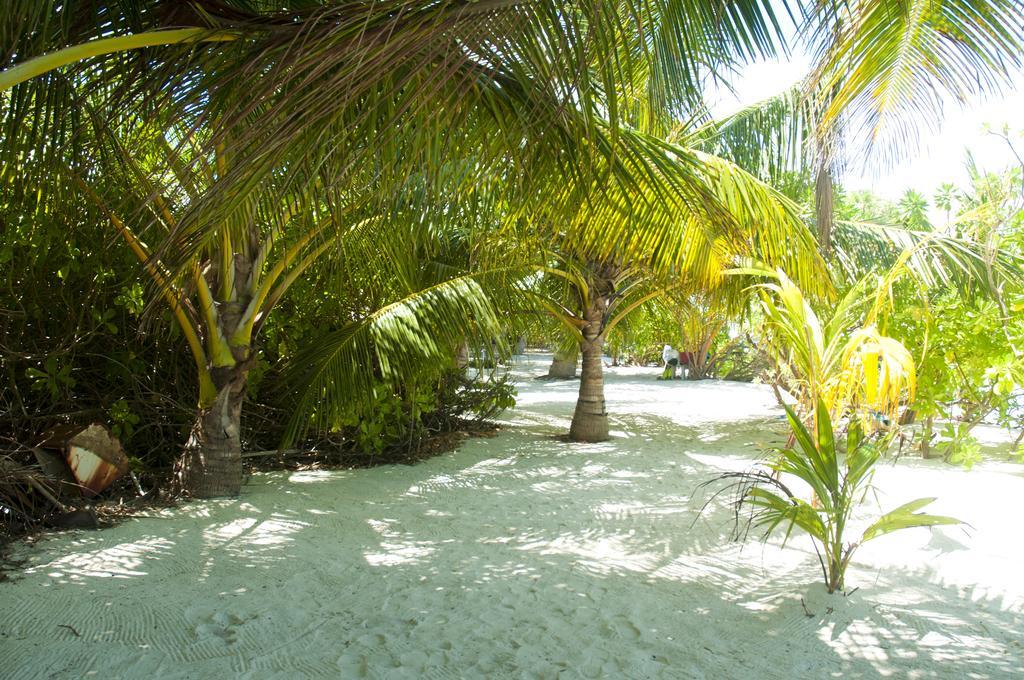Palm Garden Hotel Thoddoo Bagian luar foto